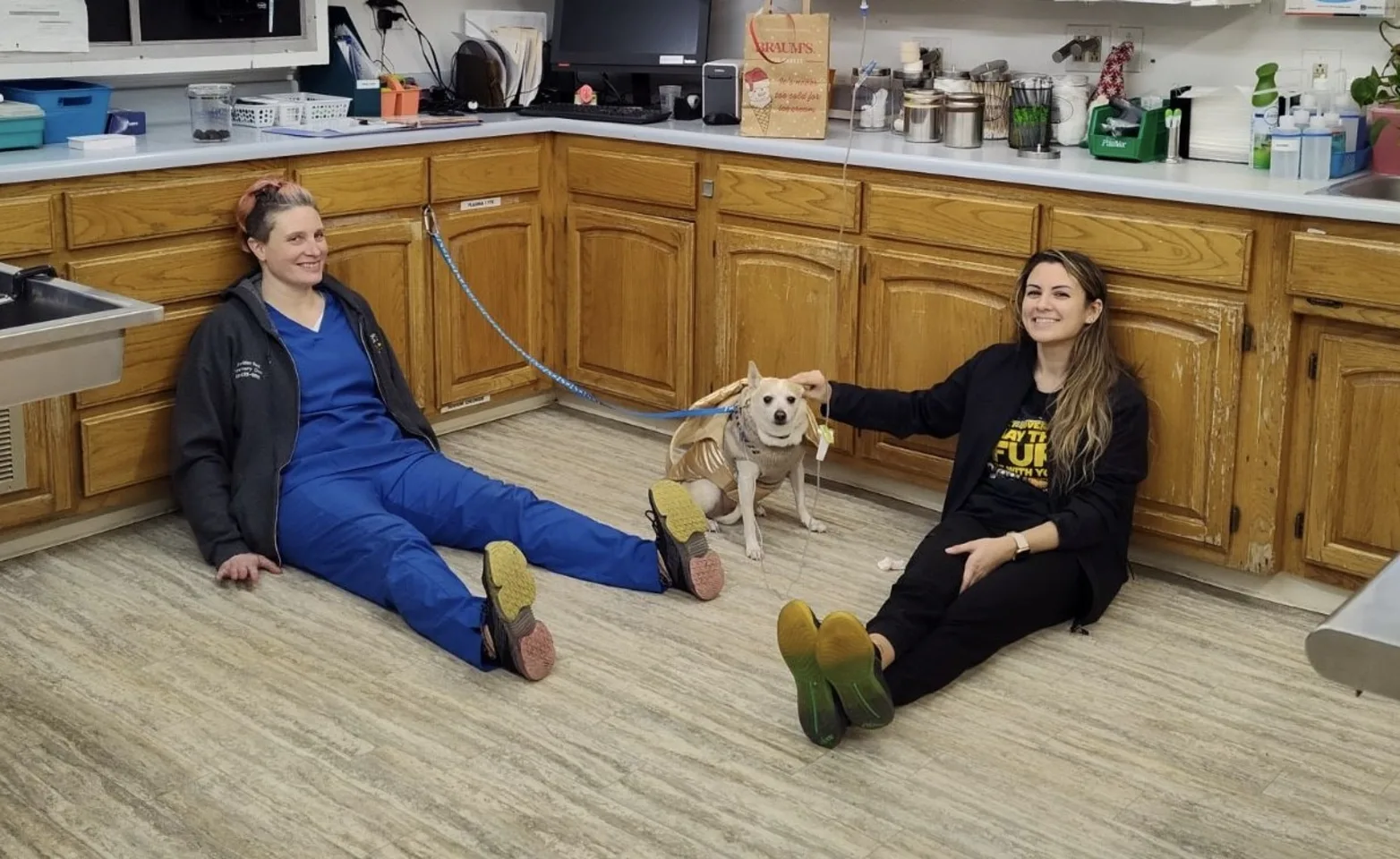 staff members sitting on floor with dog