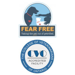 Fear Free and CVO Certificate Footer
