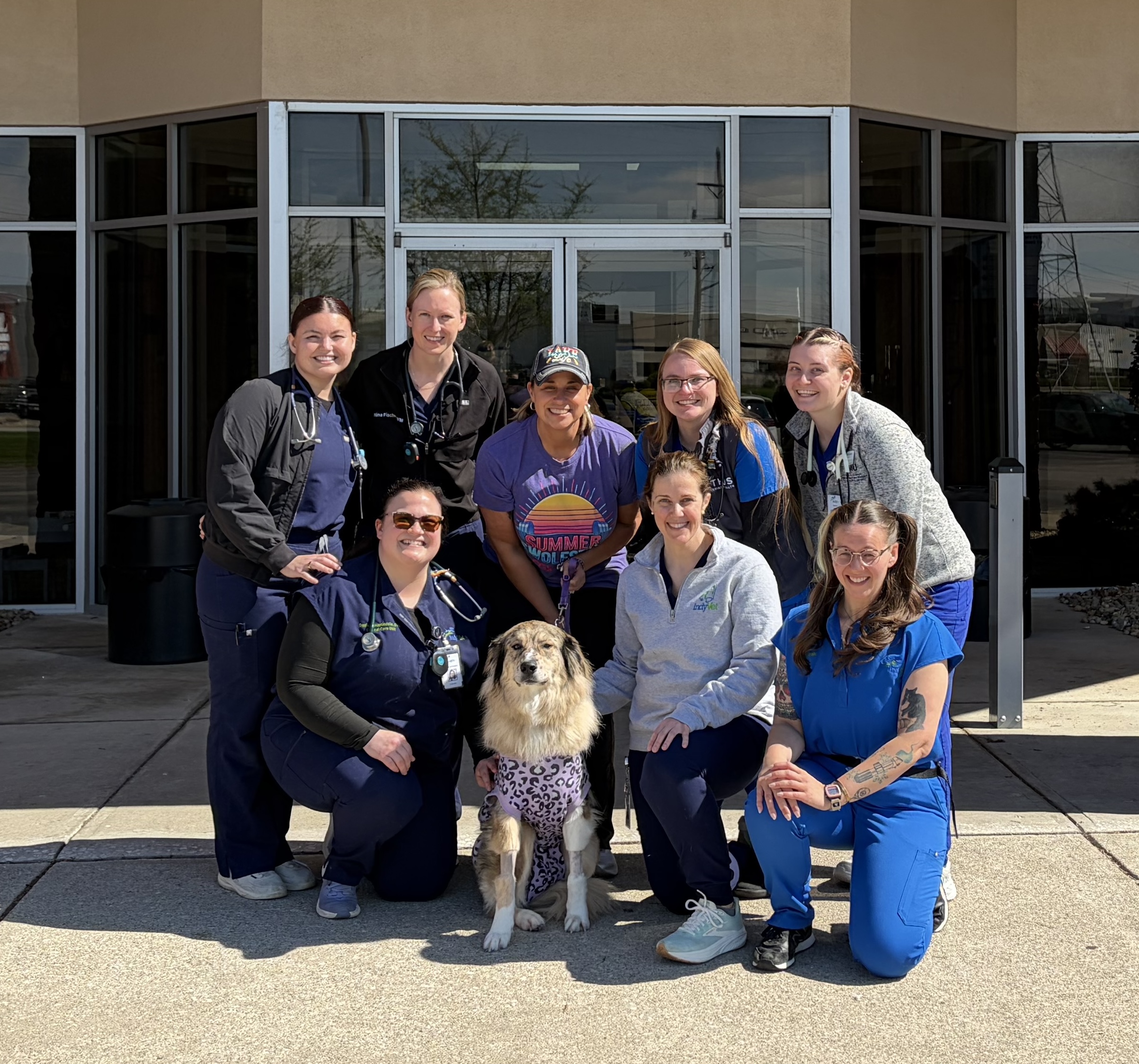 Indyvet Internship group photo