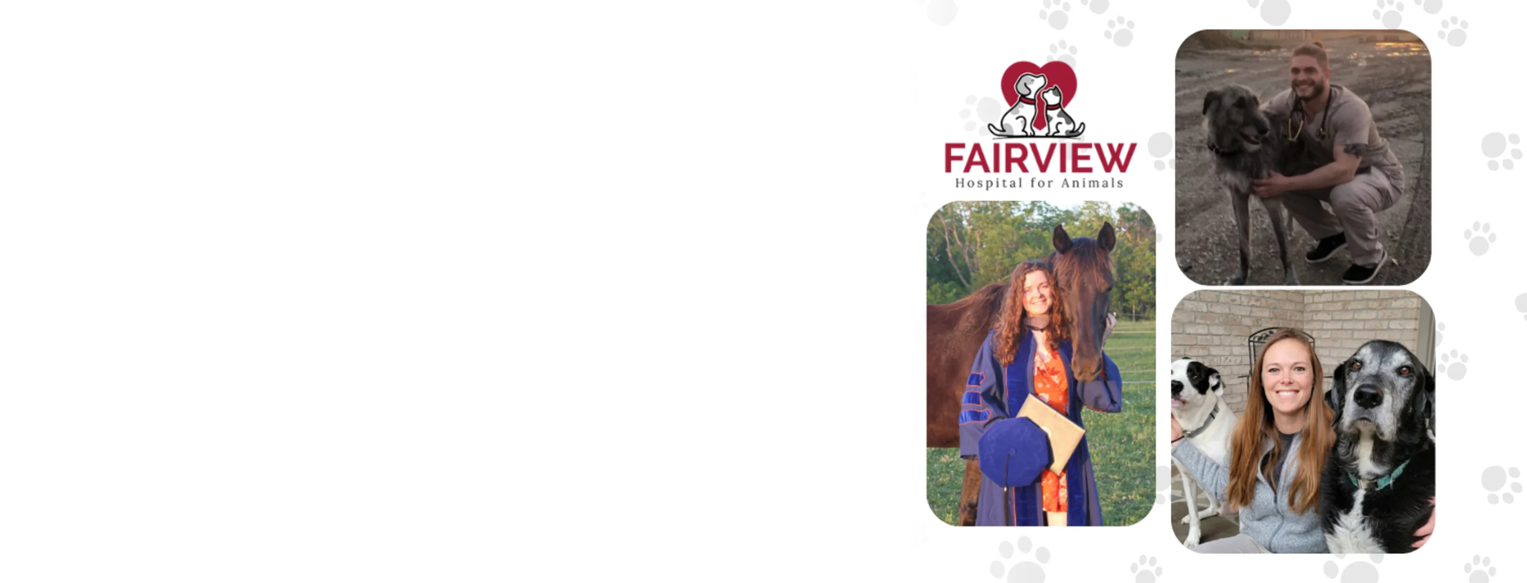 Our DVMs at Fairview Hospital for Animals Our DVMs at Fairview Hospital for Animals