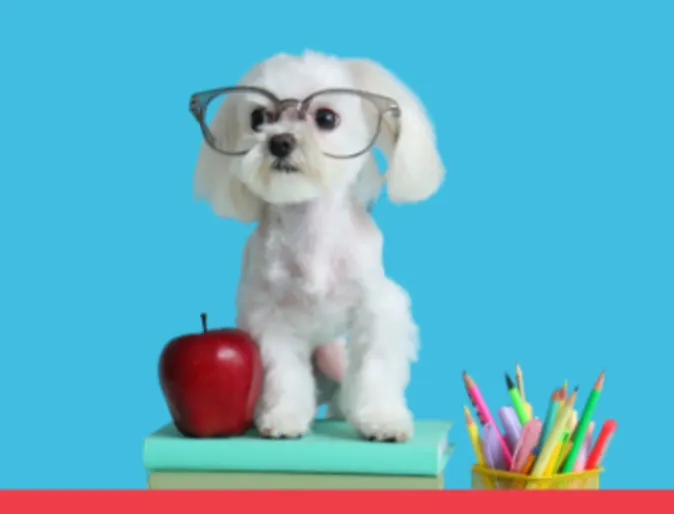 2026 Teacher Promotion 2026 Teacher Promotion
