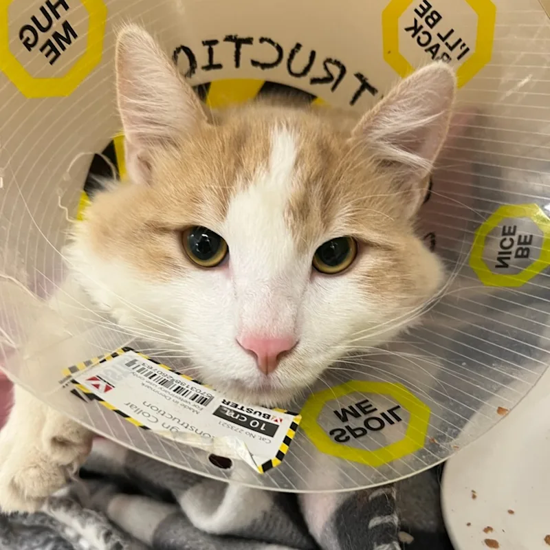 Captain Crunch Captain Crunch