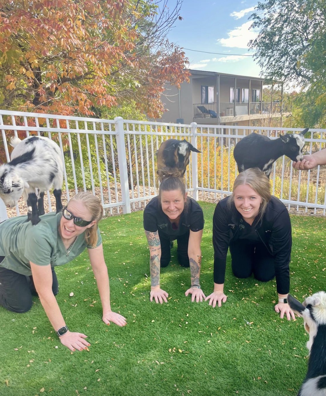 Team members with baby goats on their backs
