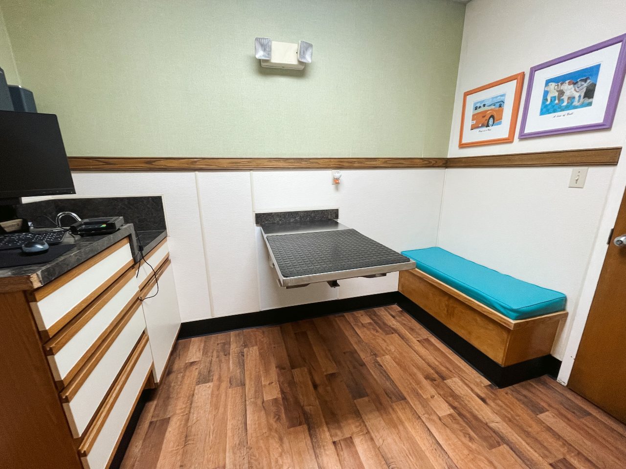 Exam room at Eastern Shore Animal Hospital.