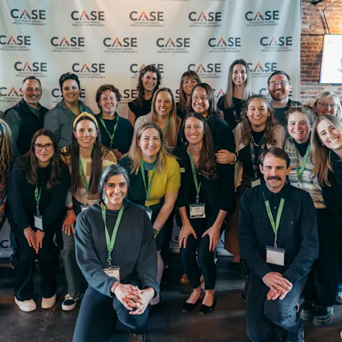 Summit Step and Repeat Summit Step and Repeat