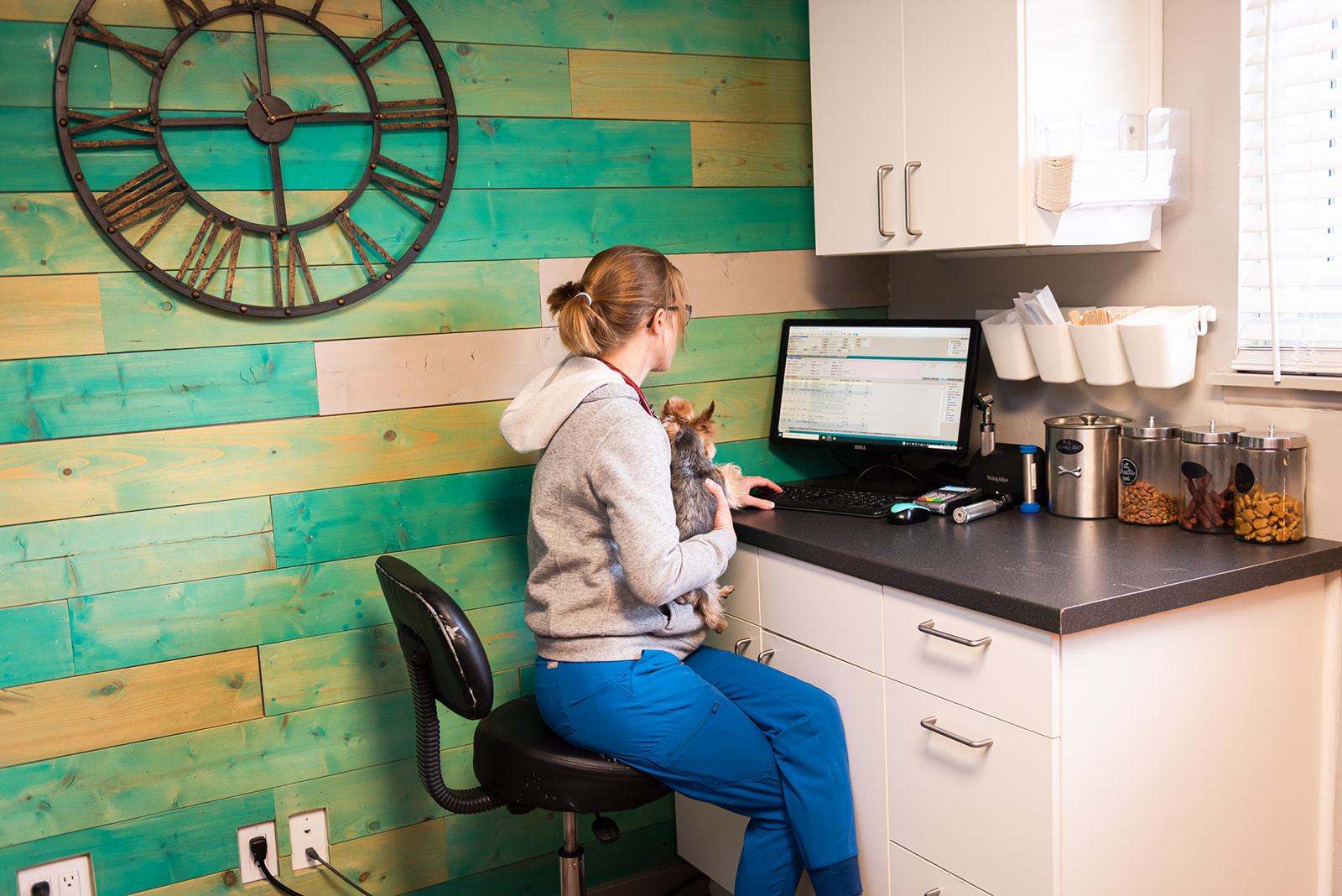 Veterinarian sitting with dog in lap in examination room