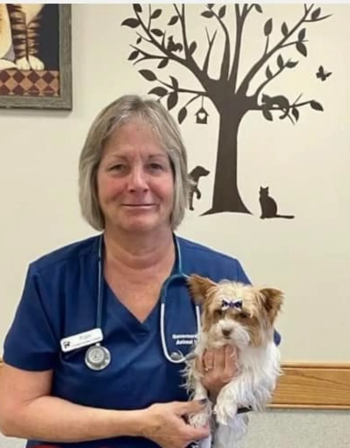 Pam McGinnis Pam McGinnis