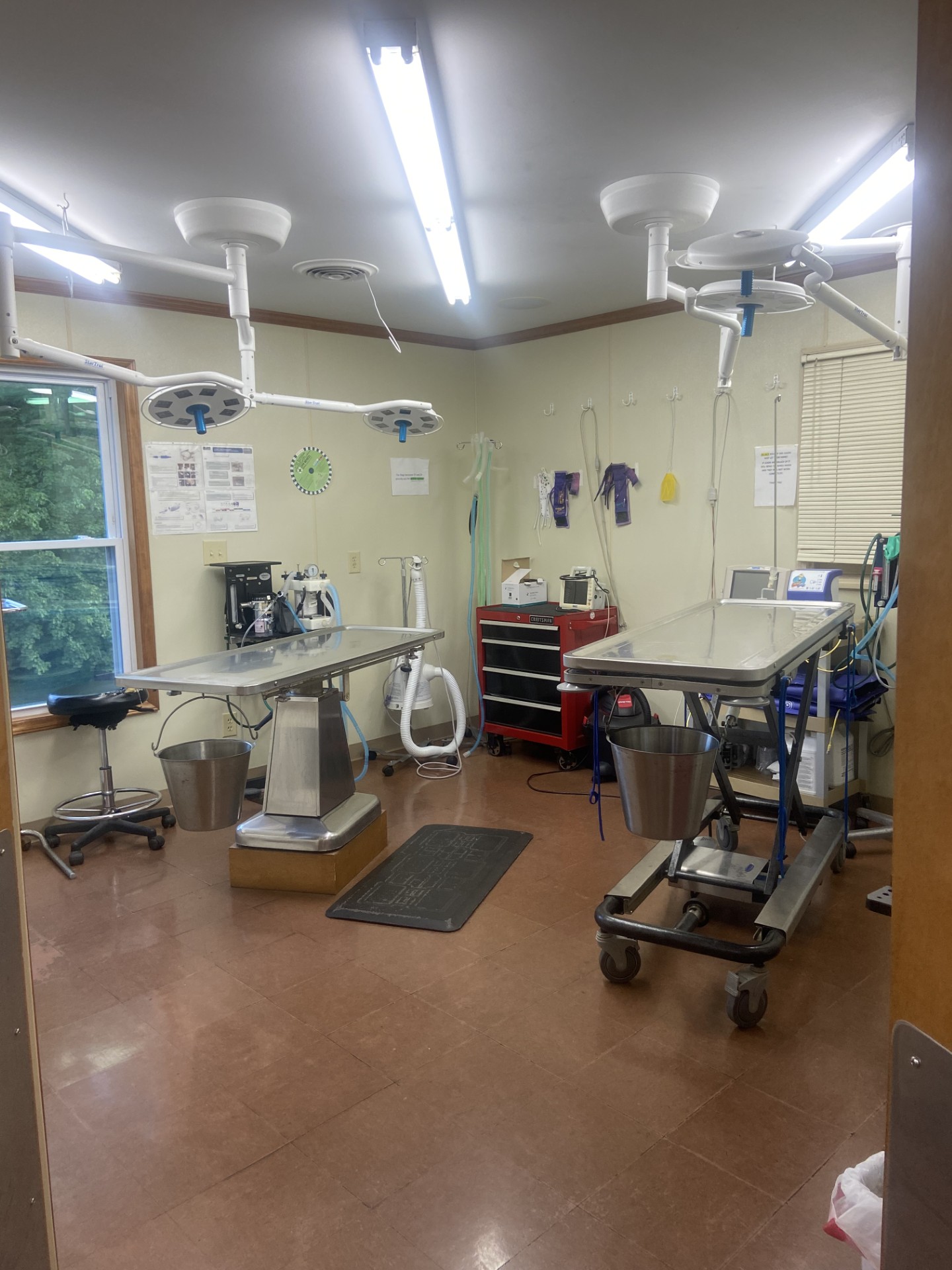 Surgery Suite at King's Mountain Animal Clinic