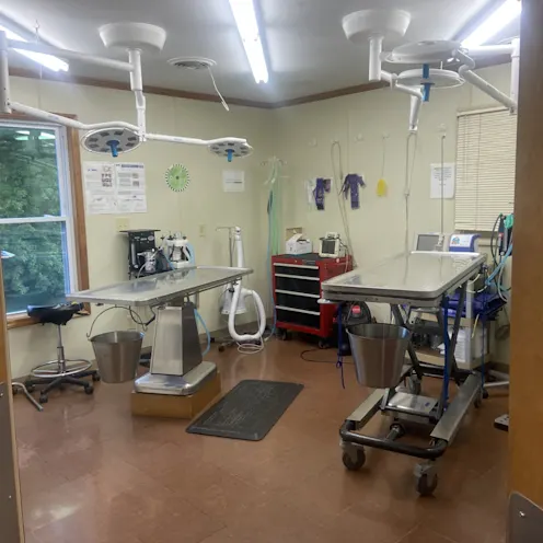 Surgery Suite at King's Mountain Animal Clinic Surgery Suite at King's Mountain Animal Clinic
