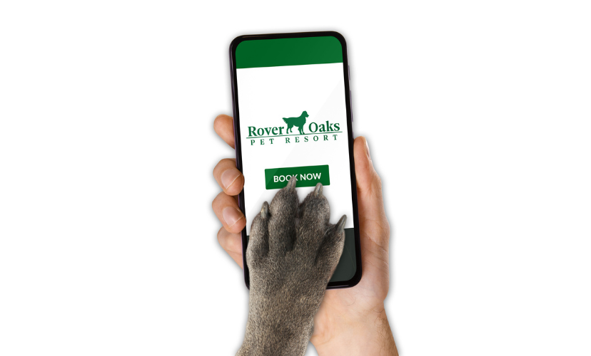 Dog Boarding & Daycare in Houston & Katy TX Rover Oaks Pet Resort