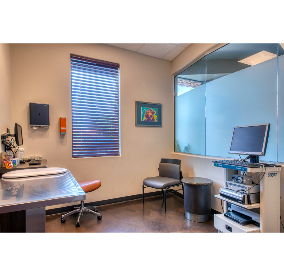 Exam Room at VetMed Emergency & Specialty Veterinary Hospital