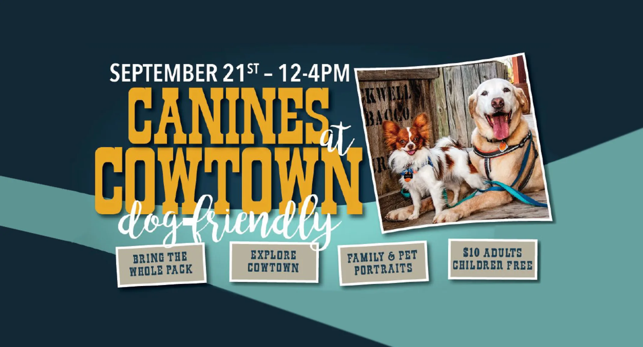 3rd Annual Canines At Cowtown Ad