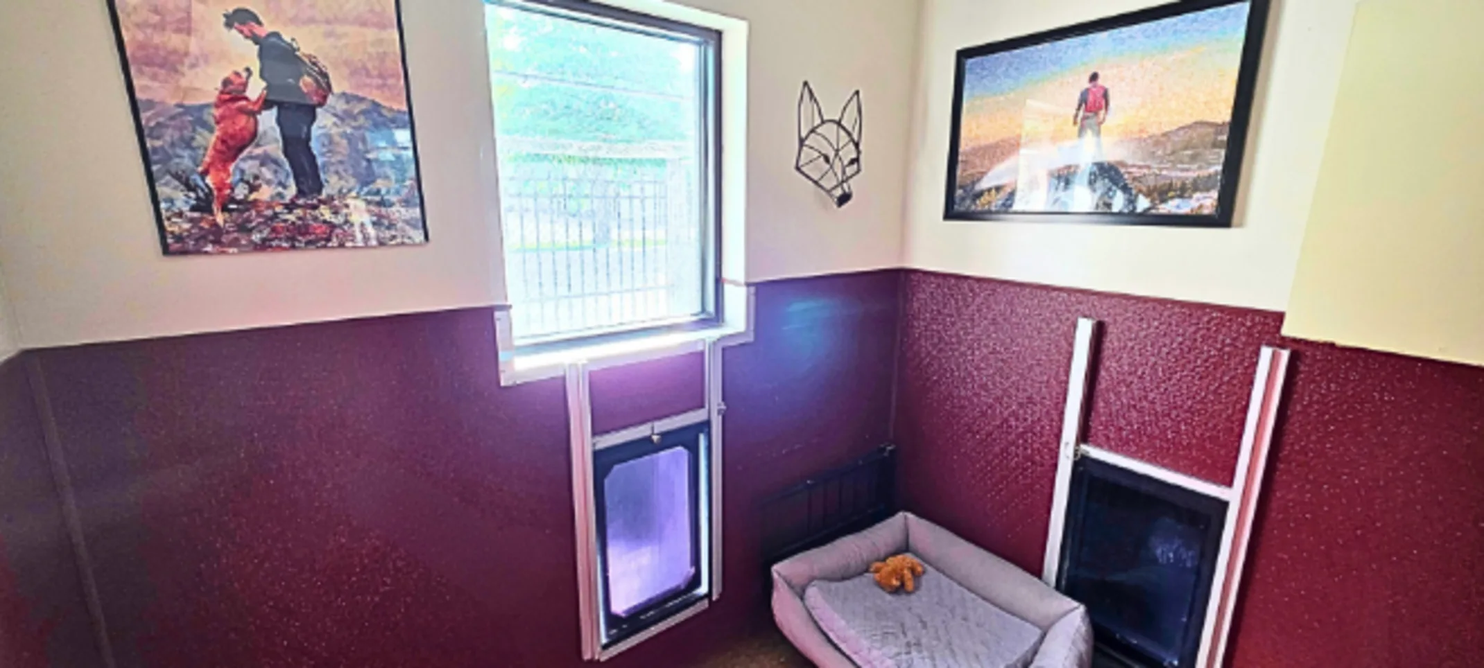 Dog Boarding Room at Lafayette Veterinary Care Center Dog Boarding Room at Lafayette Veterinary Care Center