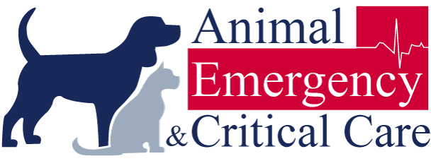 Emergency pet hot sale care