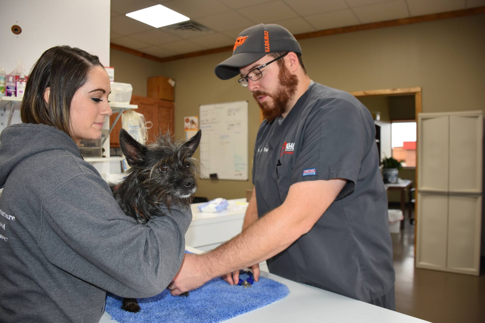  Two staff cutting dogs nails
