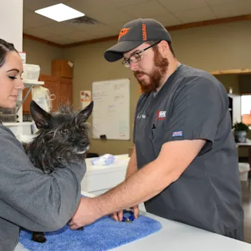 Two staff cutting dogs nails Two staff cutting dogs nails