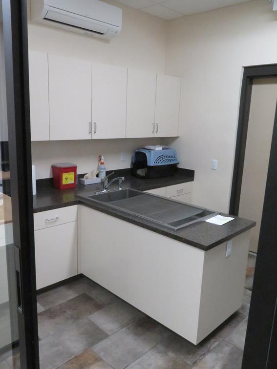A large sink displayed in the middle of the examination room sticking out of cabinets. 