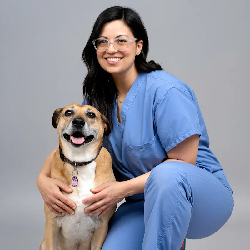 Kelly Saverino, DVM, DAVDC | Philly Pet Dentist Kelly Saverino, DVM, DAVDC | Philly Pet Dentist
