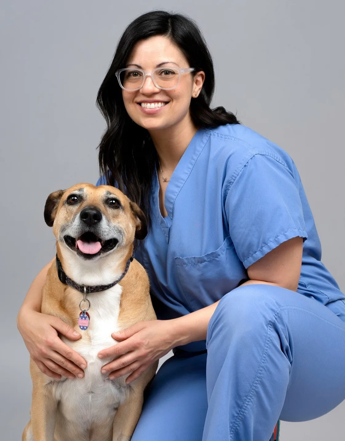Kelly Saverino, DVM, DAVDC | Philly Pet Dentist Kelly Saverino, DVM, DAVDC | Philly Pet Dentist