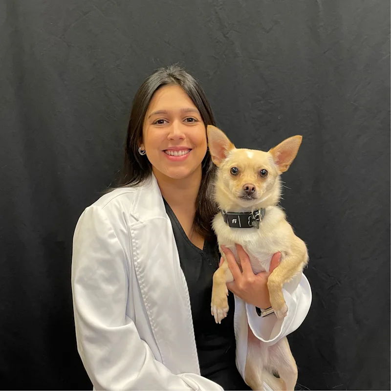 Dr. Mariana Castro Dr. Mariana Castro
