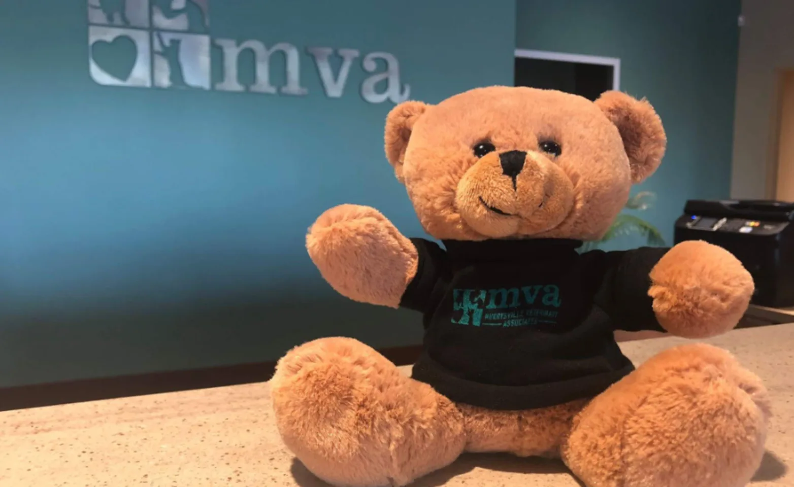 A teddy bear sitting on a desk wearing a shirt with Murrysville Veterinary Associates' logo A teddy bear sitting on a desk wearing a shirt with Murrysville Veterinary Associates' logo