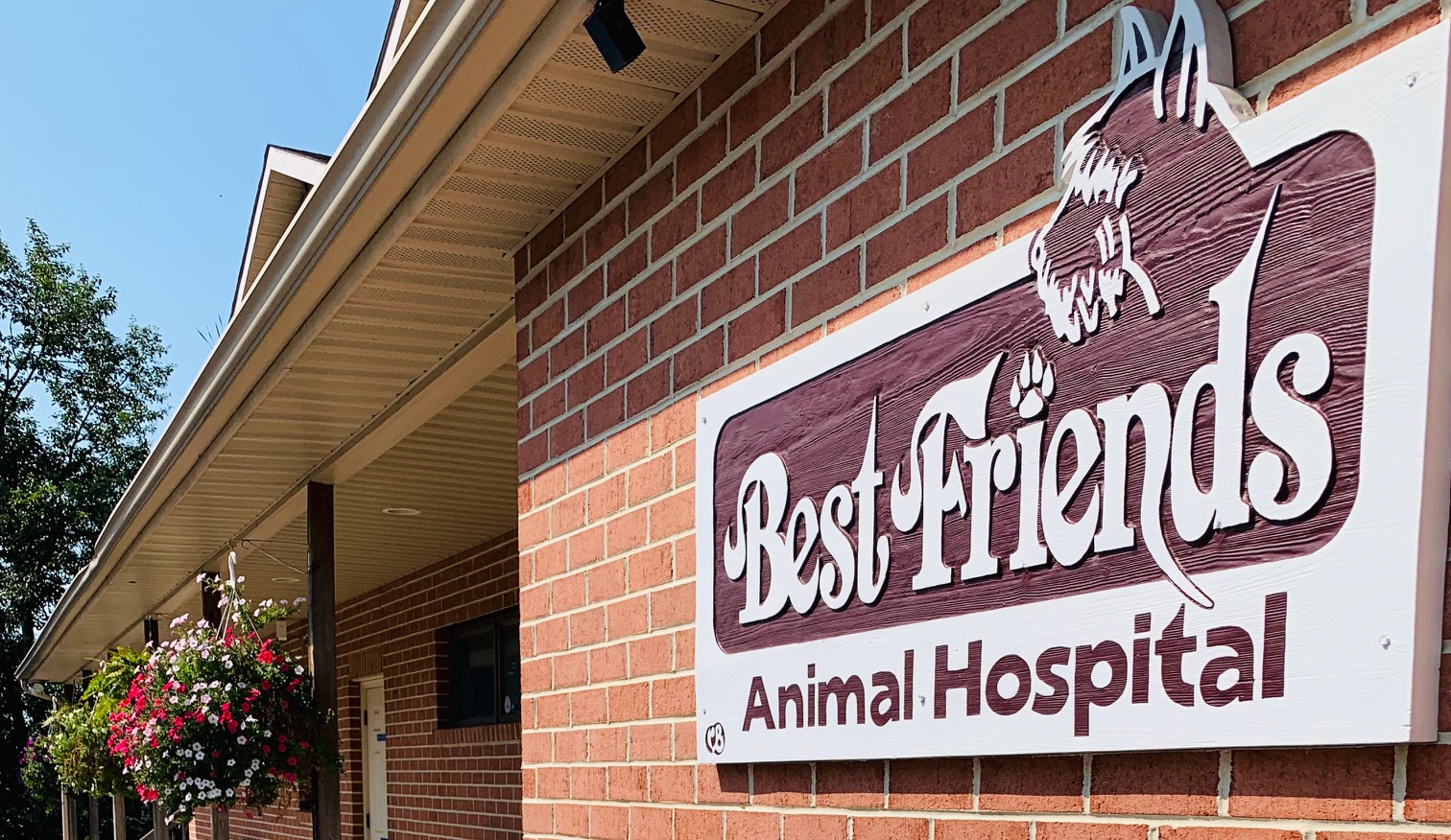 Homepage | Best Friends Animal Hospital - Chambersburg