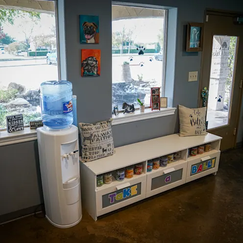 a bench and water cooler in front of the windows of Great Oaks Animal Hospital's lobby a bench and water cooler in front of the windows of Great Oaks Animal Hospital's lobby