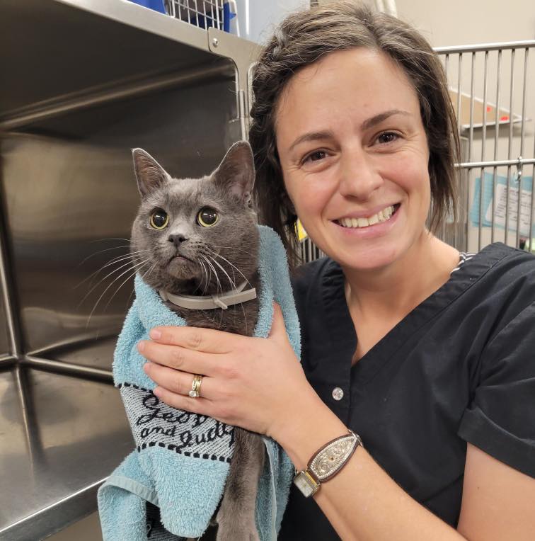 vet holding a cat in towel