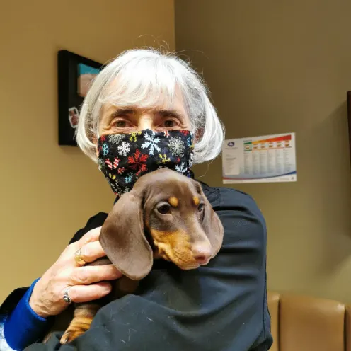 A LVH staff member holding a puppy in an exam room