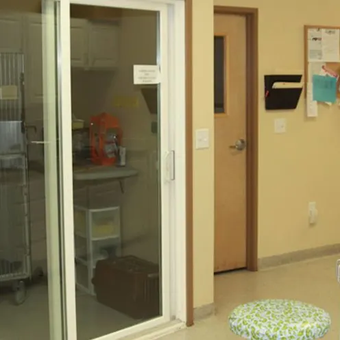 Lab Lab