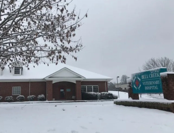 Front Exterior of Bell Creek Veterinary Hospital