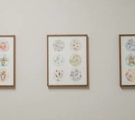 Photos displaying various bacteria Photos displaying various bacteria