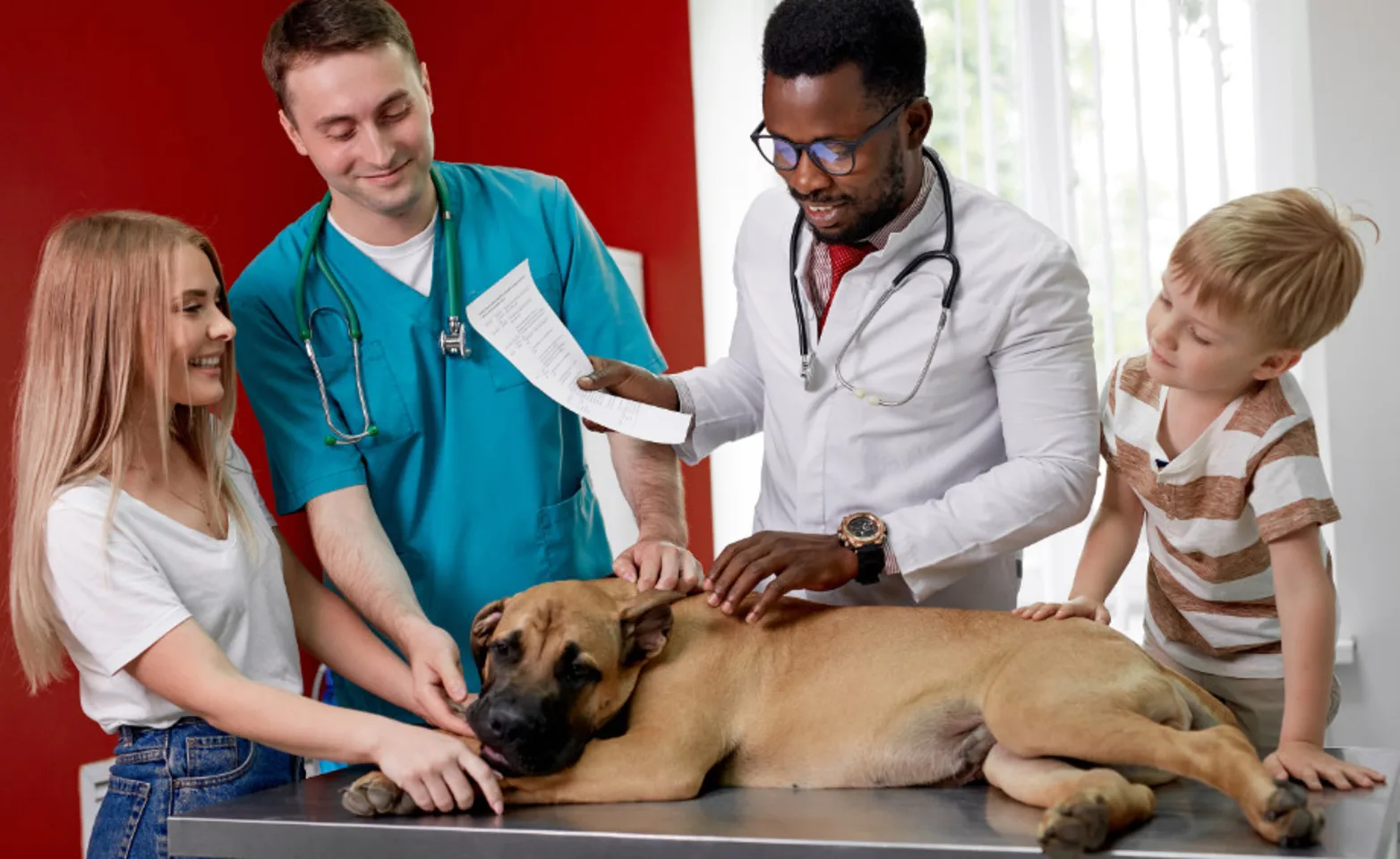 Veterinarian with Family; Dog Lying on Exam Table Veterinarian with Family; Dog Lying on Exam Table