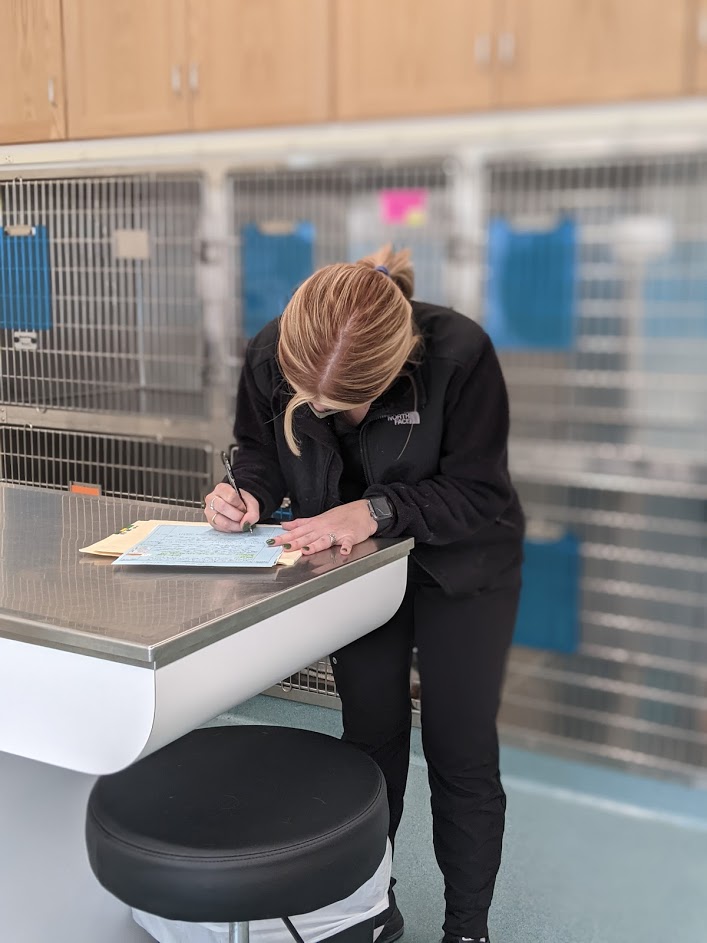 Staff filling out paperwork