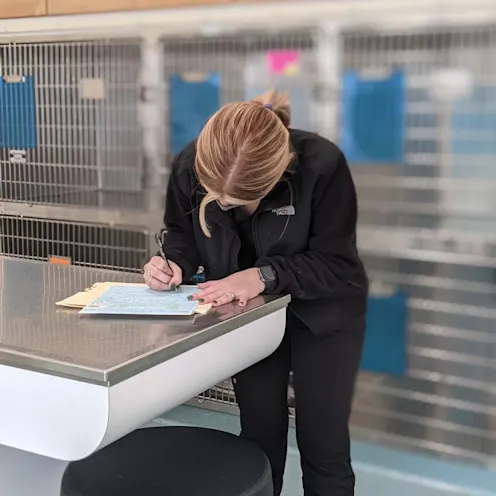 Staff filling out paperwork Staff filling out paperwork