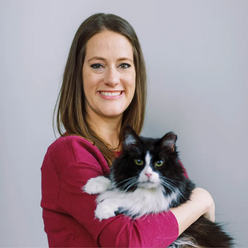 Dr. Kirsten Plomin at Hinsdale Animal Hospital Dr. Kirsten Plomin at Hinsdale Animal Hospital