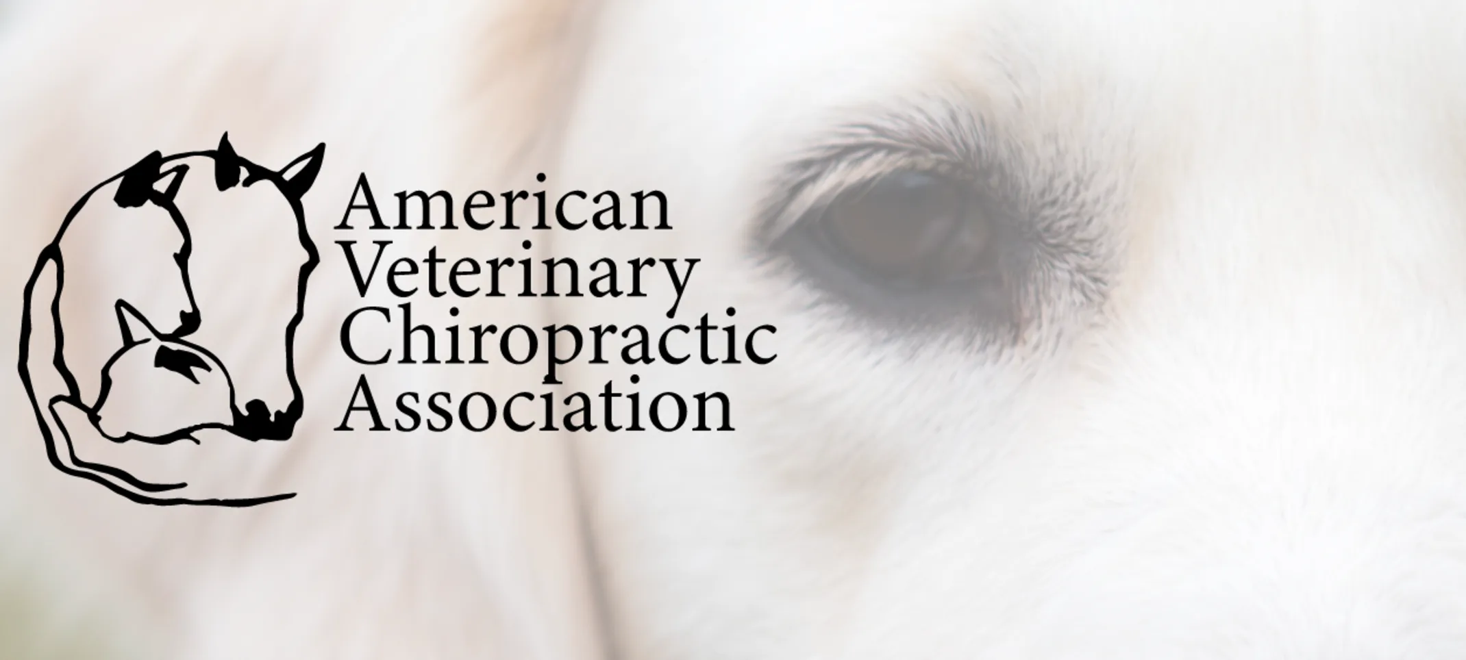 American Veterinary Chiropractic Association American Veterinary Chiropractic Association