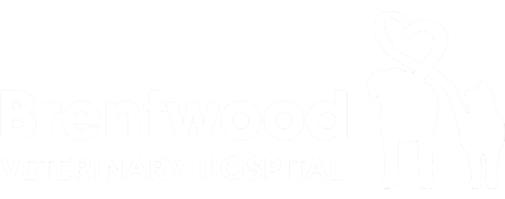 Brentwood Veterinary Hospital Logo Brentwood Veterinary Hospital Logo