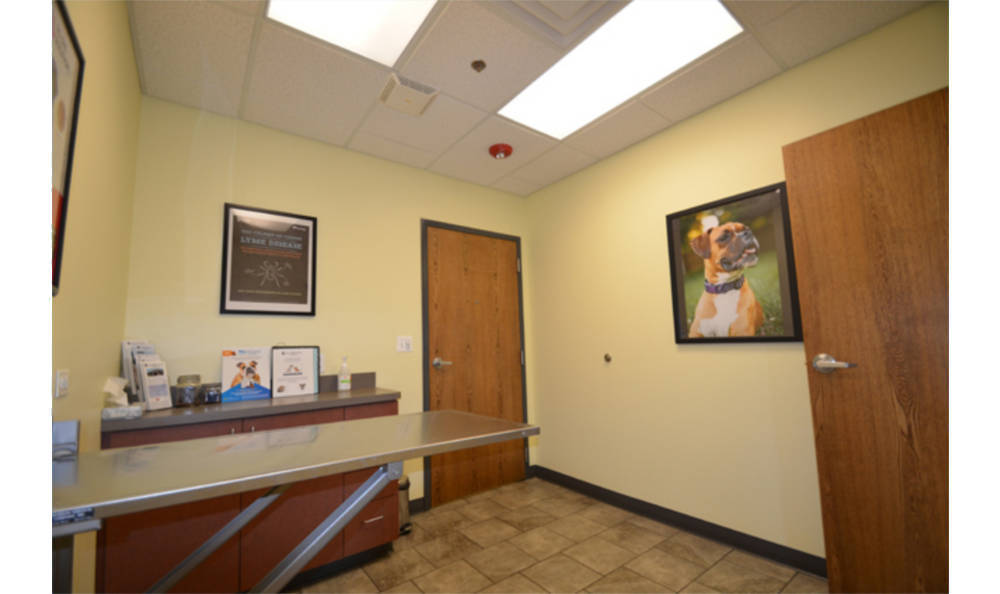 Animal Medical Clinic of Wheaton