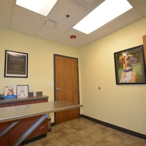 Animal Medical Clinic of Wheaton Animal Medical Clinic of Wheaton