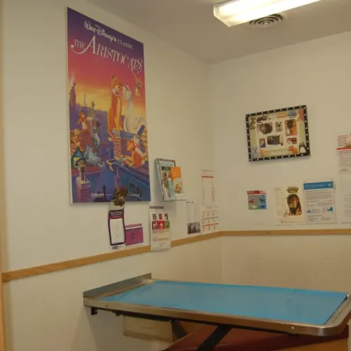 exam room at Kenmore Animal Hospital