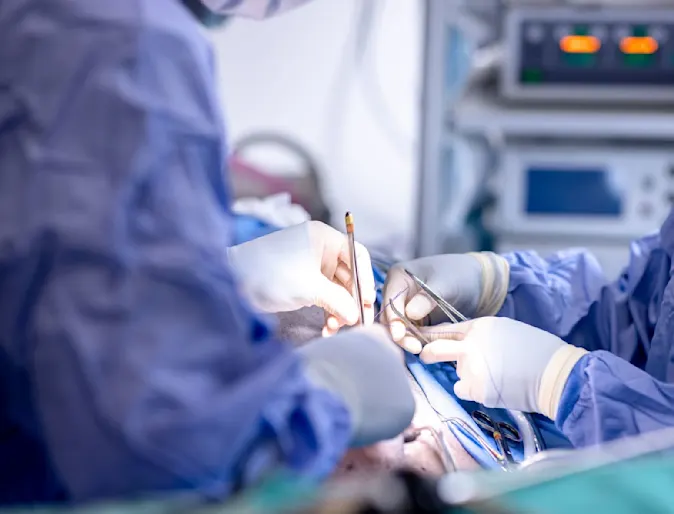 veterinarian hands peforming surgery