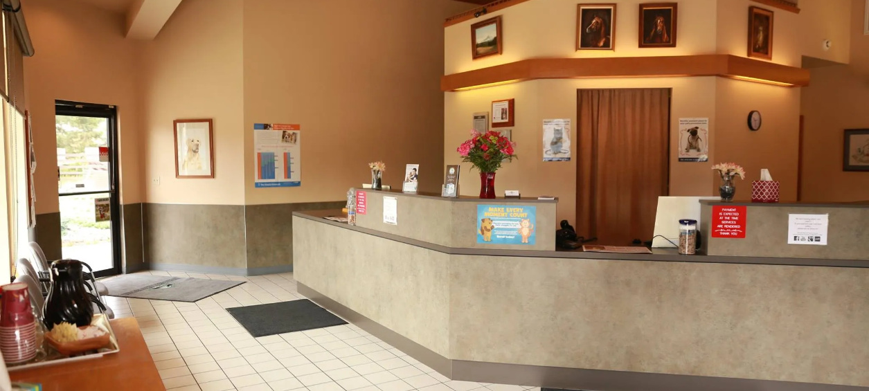 Front desk in Tahoma Veterinary Hospital