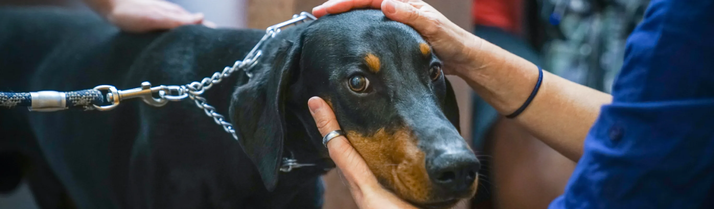 Dr.Willis-Burgess Exam Room Dr.Willis-Burgess Exam Room