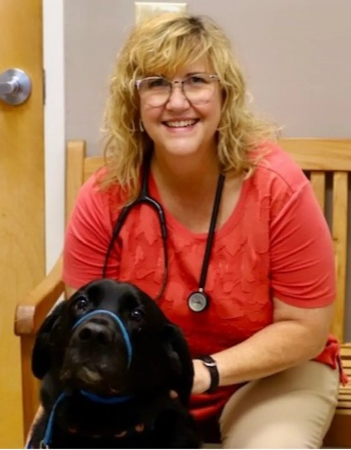 Dr. Lisa King Dr. Lisa King