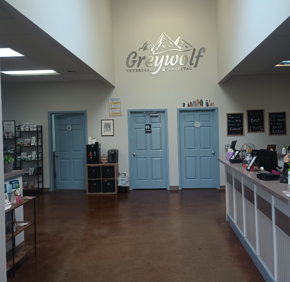 Lobby area with new hospital logo