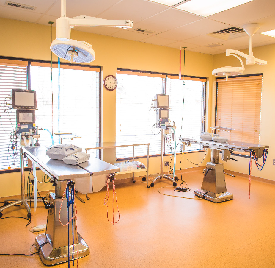 Surgery room at Kindness Animal Hospital