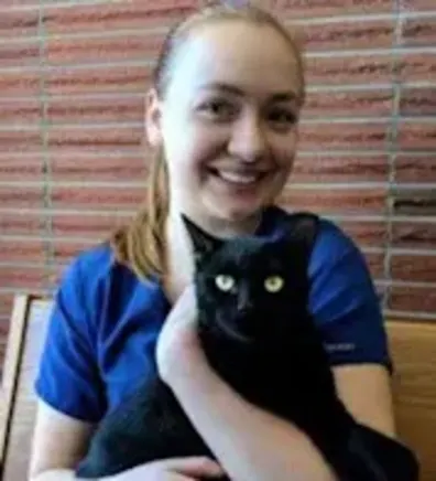 Drawing of a puppy Drawing of a puppy