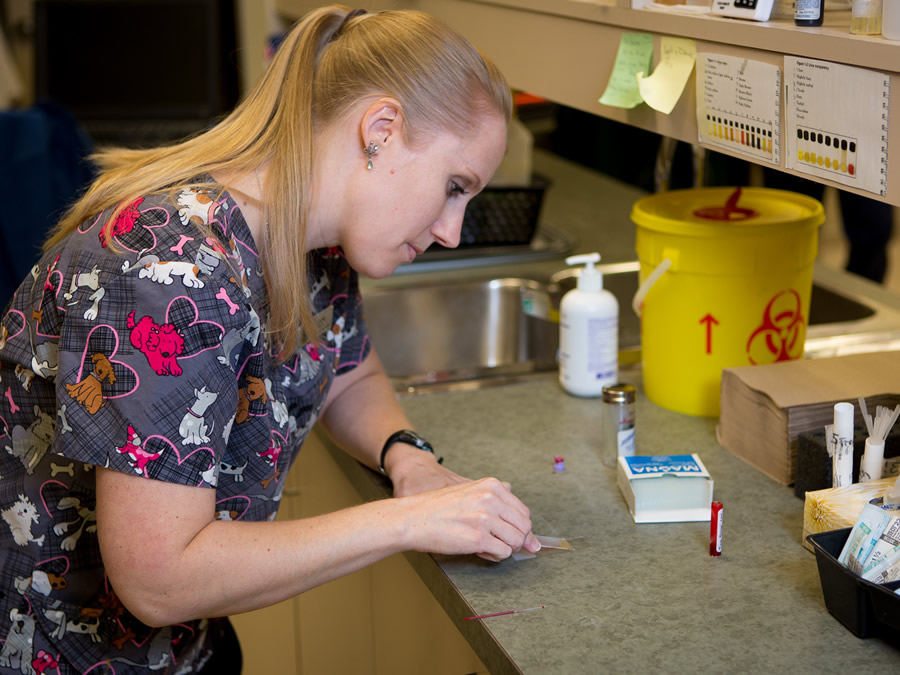 Park Veterinary Centre Laboratory