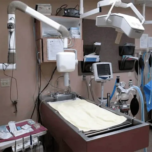 Palm Glen Animal Hospital Operating Room Palm Glen Animal Hospital Operating Room